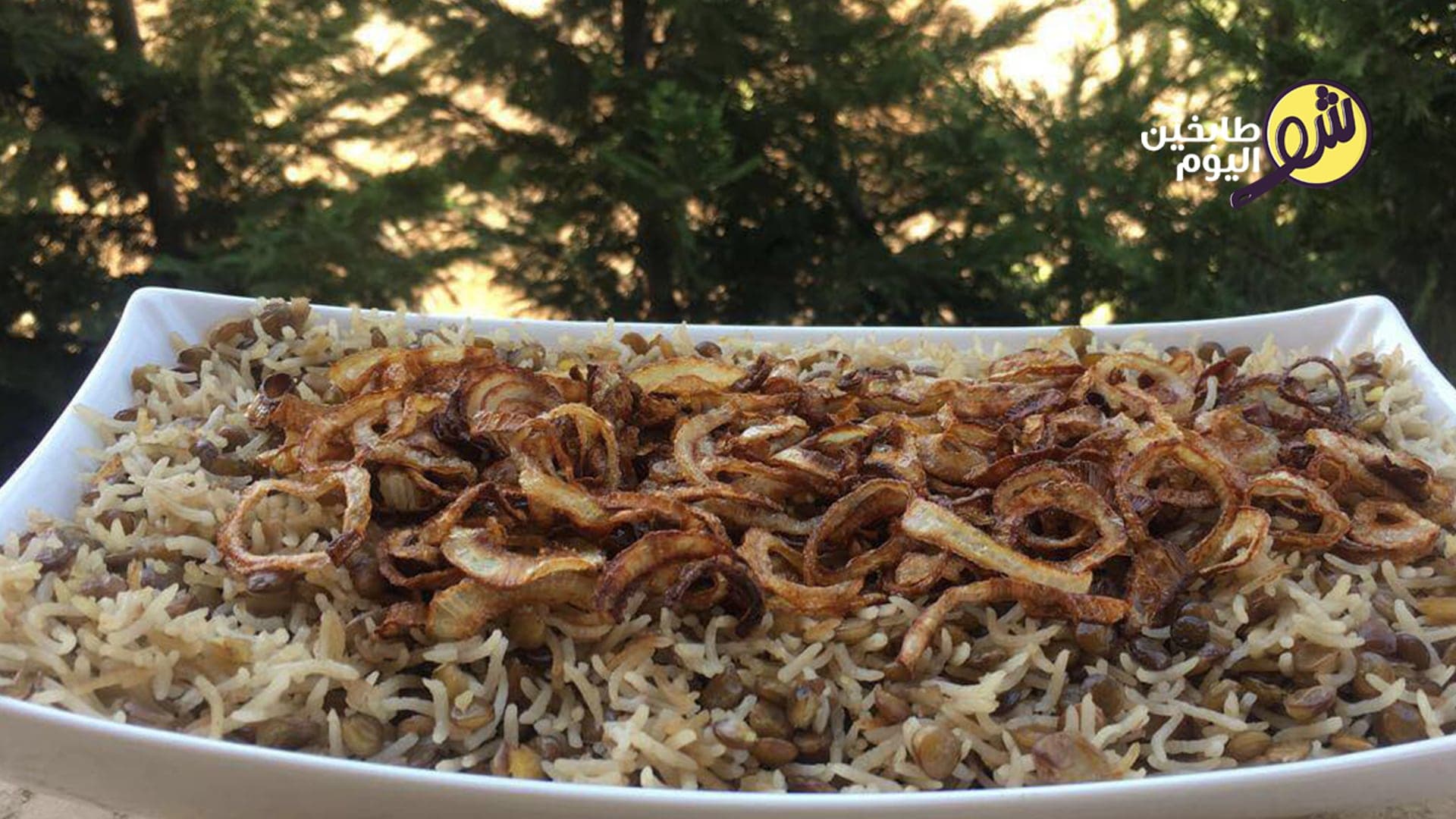 مجدرة الرز