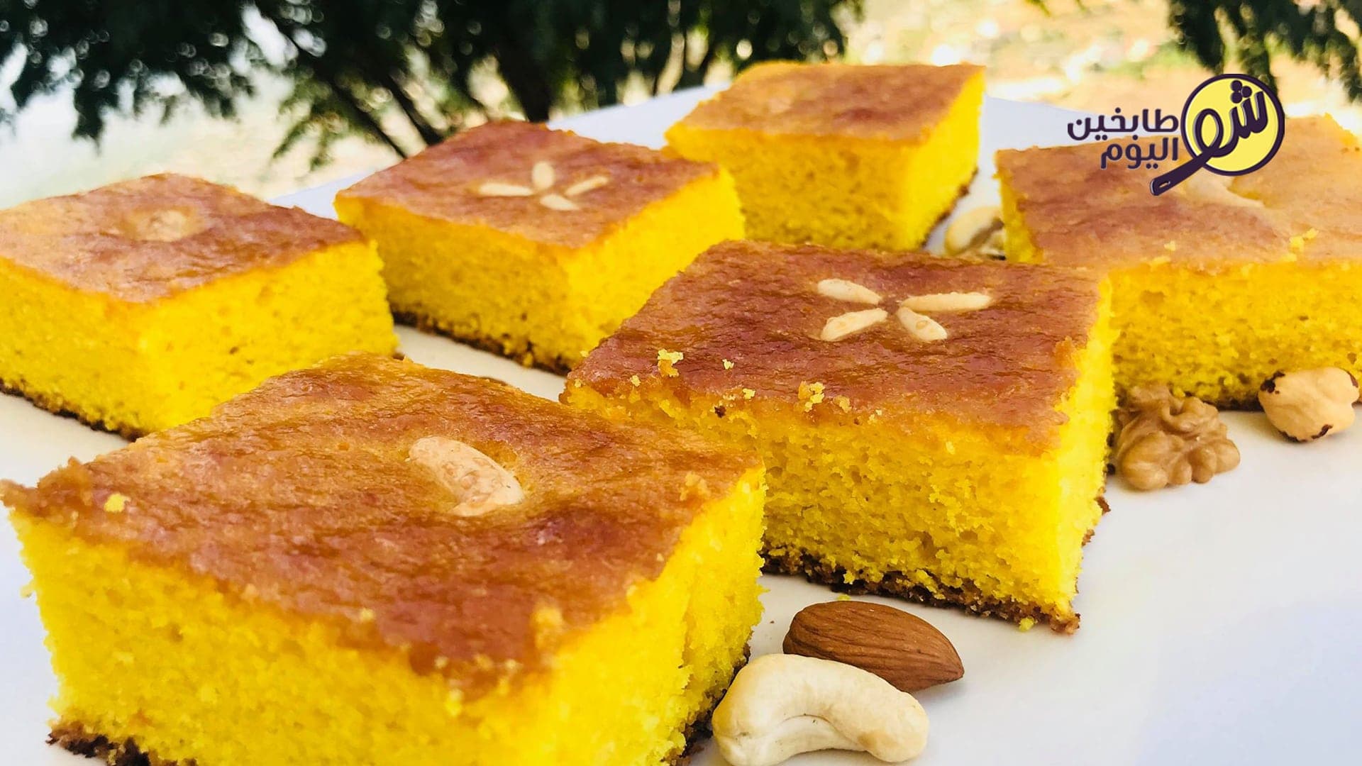 صفوف بيتي