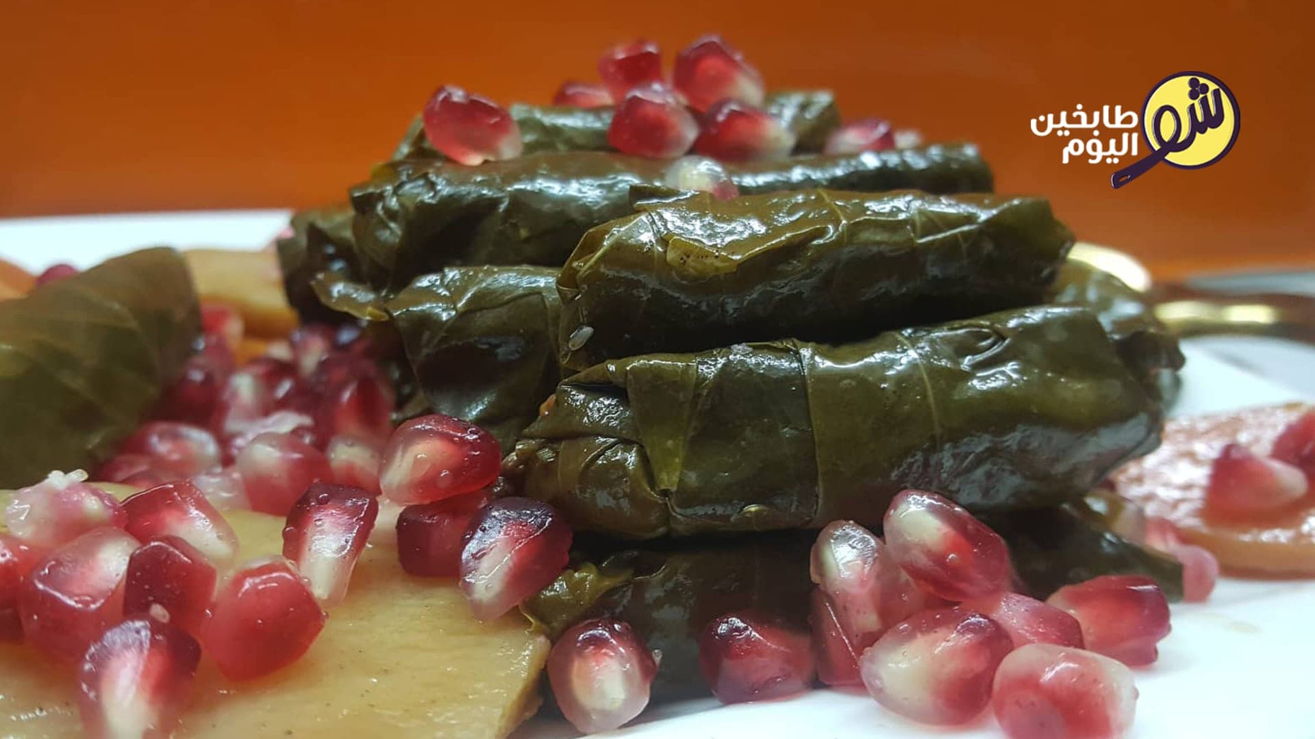 ورق عنب بزيت