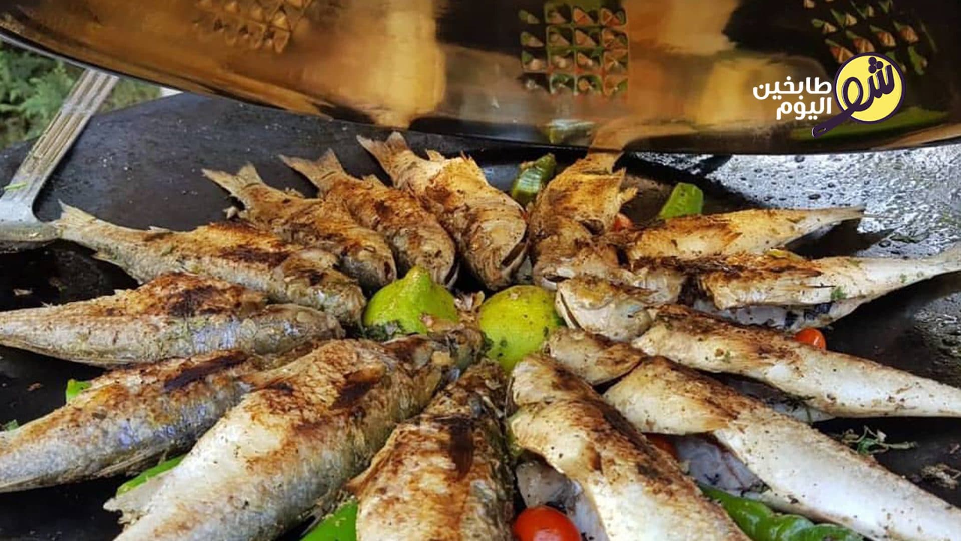 السمك المشوي على الفحم مع صلصة الطرطور