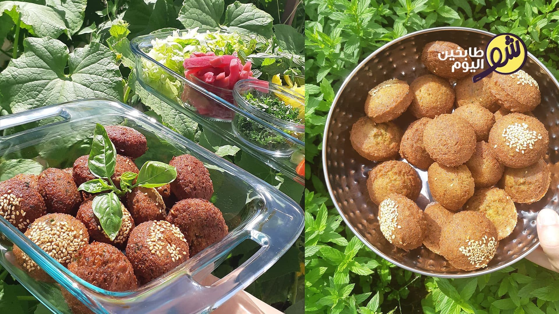 طريقة عمل الفلافل المنزلية